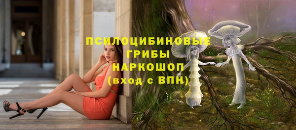 a pvp Богородск