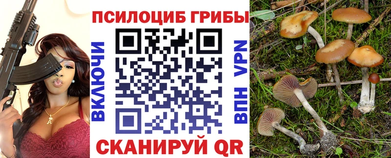 Галлюциногенные грибы MAGIC MUSHROOMS  Брянск 